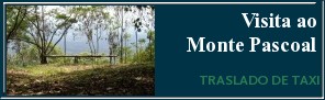 Classificado O Monte Pascoal dos Patax� e um ponto tur�stico pouco explorado. Si voc� est� hospedado em Porto Seguro ou Arraial d'Ajuda agende um passeio para conhecer a Mata Atl�ntica preservada pelos �ndios Patax� e o Monte Pascoal. O traslado de T�xi de Porto at� a portaria do Parque tem uma dura��o de 1 hora e Meia. Guias Patax� levaram voc� a conhecer as trilhas en meio da mata e o centro de Visitantes onde tem vegeta��o  abundante e �rbores centen�rias dif�ceis de ver no sul da bahia. O bioma da Mata Atl�ntica foi substituido por fazendas de gado, capim, planta�oes de caf� e mam�o e eucalipto. Base da subsist�ncia do extremo sul da Bahia. <br><br>Al�m das trilhas tem a subida ao monte, 1500 metros com muita pendente; sua beleza natural � de tirar o f�lego de qualquer pessoa. Observase flora e fauna da regi�o. A coroa do Monte Pascoal est� bastante recuperada do inc�ndio que a devastou a anos.

A visita � guiada e tem uma dura�ao de 2 a 3 horas.
Traslado de T�xi Fiat Palio Trekking com Ar Condicionado