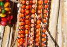Artesanato Ind�gena Patax� Colares de sementes