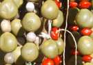 Artesanato Ind�gena Patax� Colares de sementes