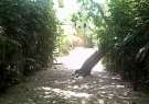 Sutes do Gamela (Beira do Rio)